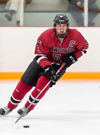 Senior forward Ben Taylor returned from an injury and helped lead Tabor to a 3-2 OT win over Milton in the championship game of the Tabor Tournament.